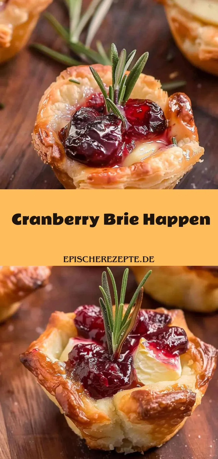 Template of Cranberry Brie Happen