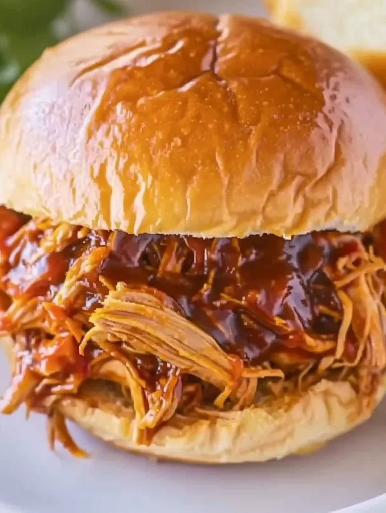 A close up of a pulled pork sandwich.